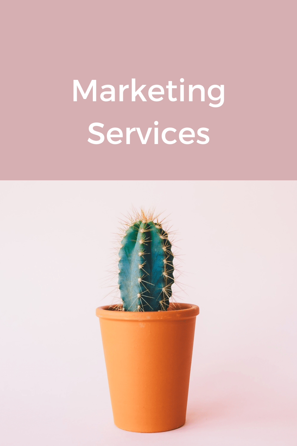 Marketing Services- Marketing - Emily Speicher